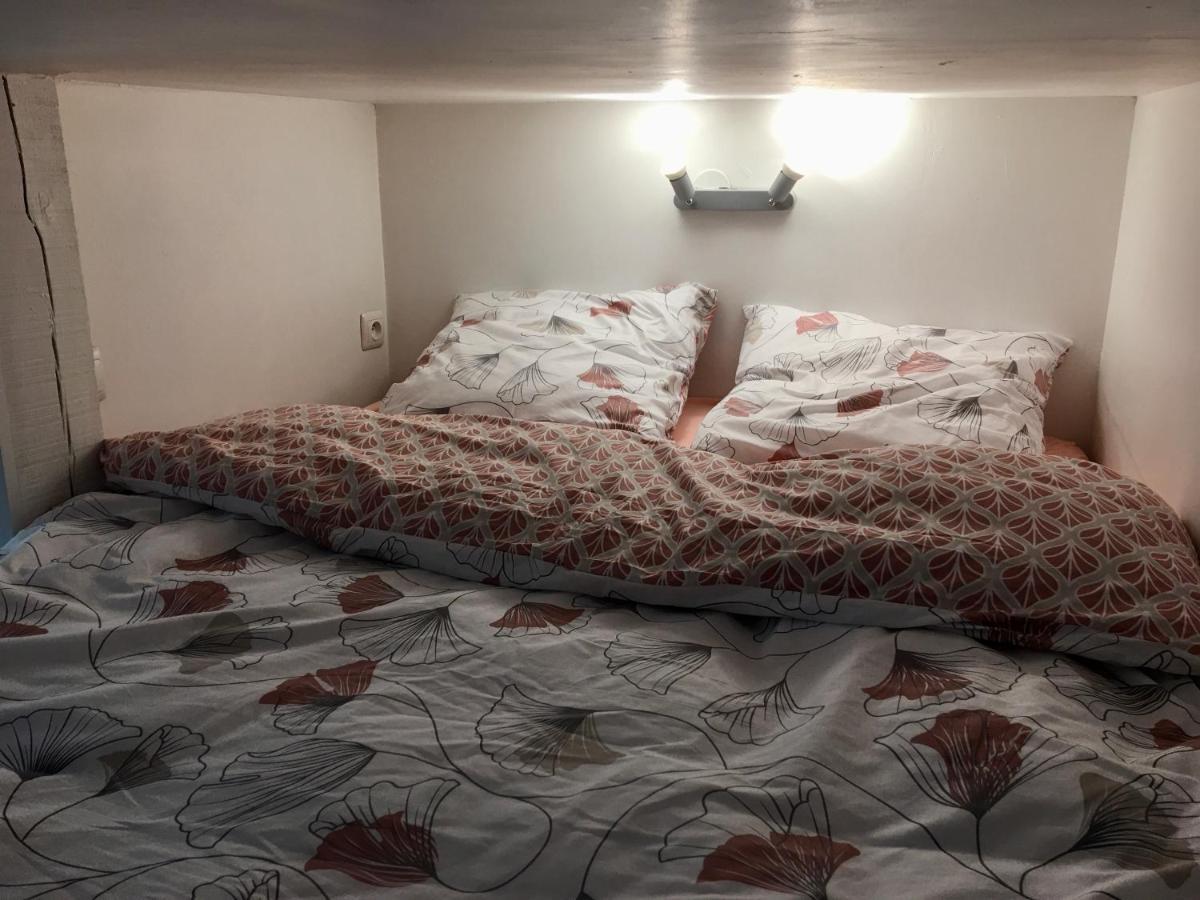 Le Jungle Studio Apartment Rouen Ngoại thất bức ảnh